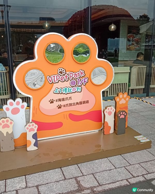 主人與毛孩Shopping天堂-北角匯！🛍️🐶🥰