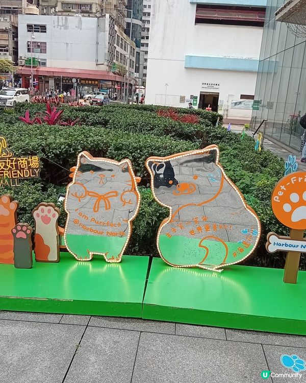 主人與毛孩Shopping天堂-北角匯！🛍️🐶🥰