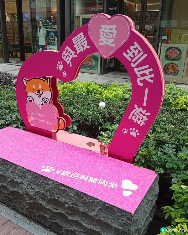 主人與毛孩Shopping天堂-北角匯！🛍️🐶🥰