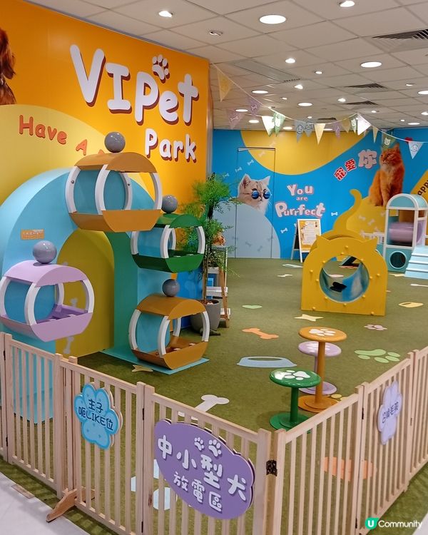 主人與毛孩Shopping天堂-北角匯！🛍️🐶🥰