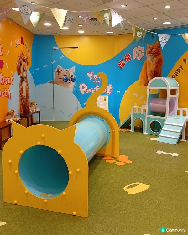 主人與毛孩Shopping天堂-北角匯！🛍️🐶🥰