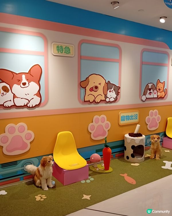 主人與毛孩Shopping天堂-北角匯！🛍️🐶🥰