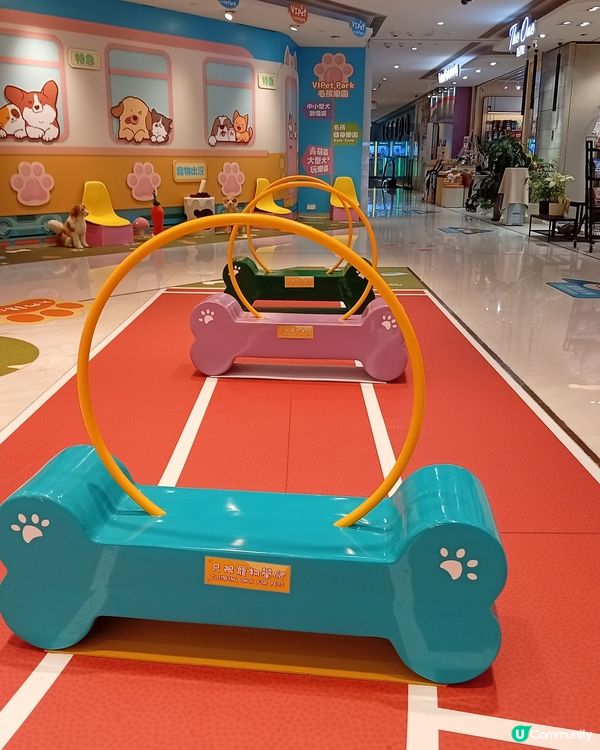 主人與毛孩Shopping天堂-北角匯！🛍️🐶🥰