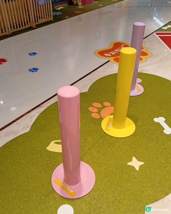 主人與毛孩Shopping天堂-北角匯！🛍️🐶🥰