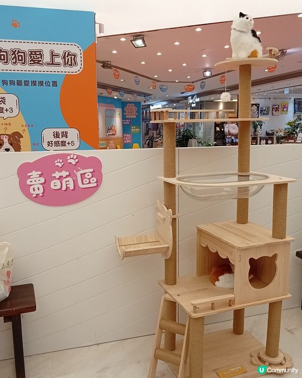 主人與毛孩Shopping天堂-北角匯！🛍️🐶🥰