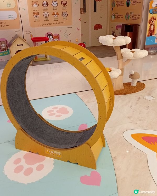 主人與毛孩Shopping天堂-北角匯！🛍️🐶🥰