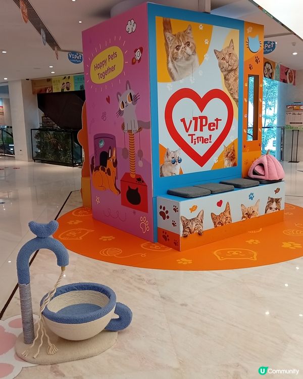 主人與毛孩Shopping天堂-北角匯！🛍️🐶🥰