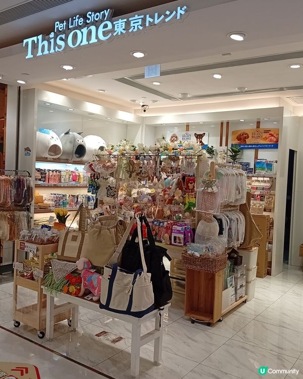 主人與毛孩Shopping天堂-北角匯！🛍️🐶🥰