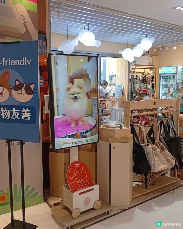 主人與毛孩Shopping天堂-北角匯！🛍️🐶🥰