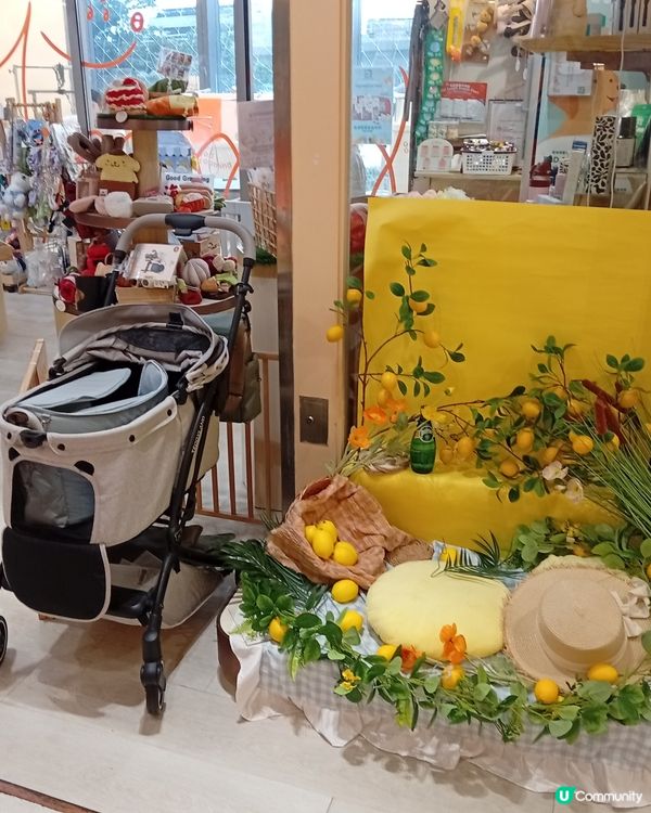 主人與毛孩Shopping天堂-北角匯！🛍️🐶🥰