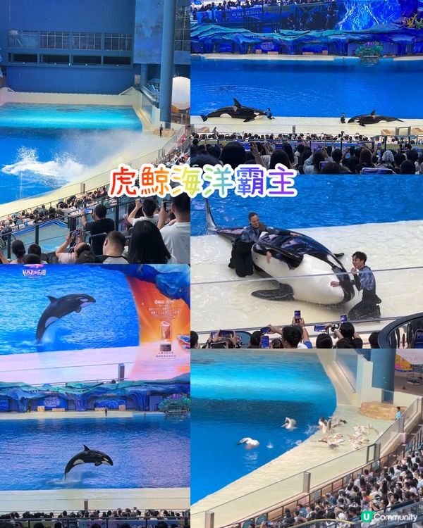 長隆飛船🌊☀️超好玩！