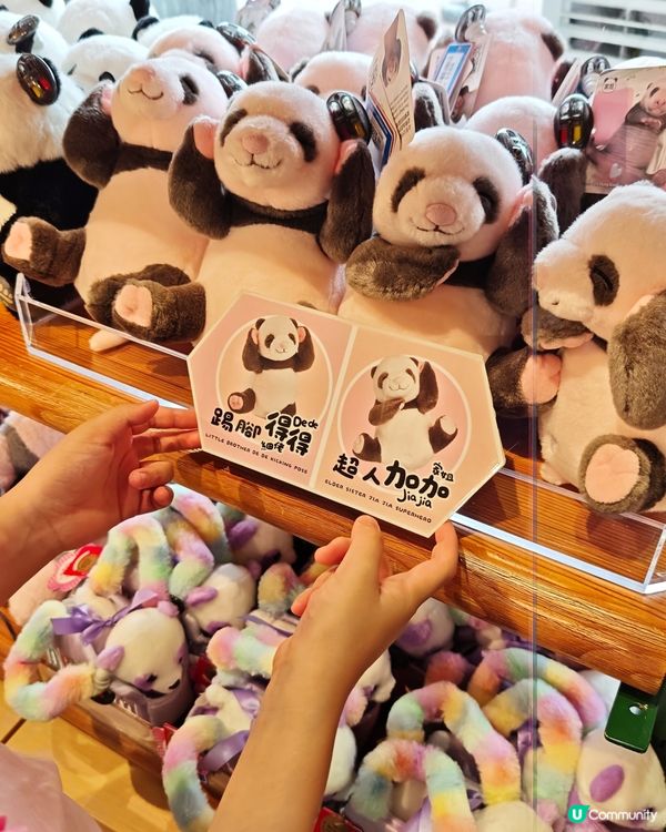 ​大熊貓生日大派對🩷香港限定玩水樂園
