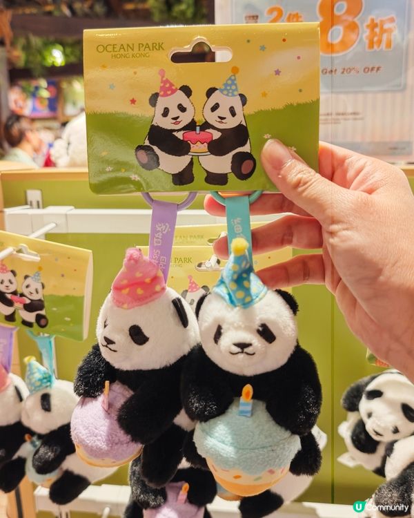 ​大熊貓生日大派對🩷香港限定玩水樂園