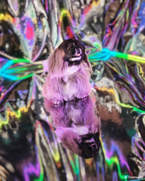 百老匯（西洋菜街）光影體驗館
