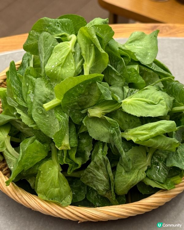 順德公-胡椒豬肚雞煲