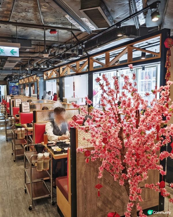 抵食🤤午市🍲火鍋🥢放題