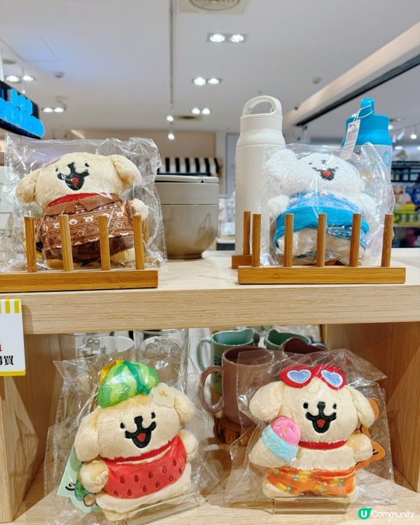 韓國人氣IP「線條小狗」在✨星奇市📍