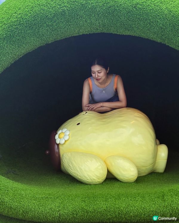 打卡布丁狗三十歲生日 還有好多打卡點