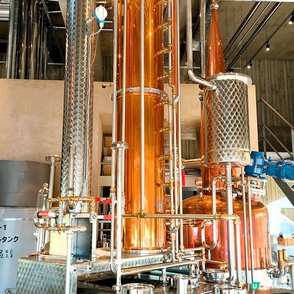 新潟Gin酒 地膽帶路 味道特別 必試