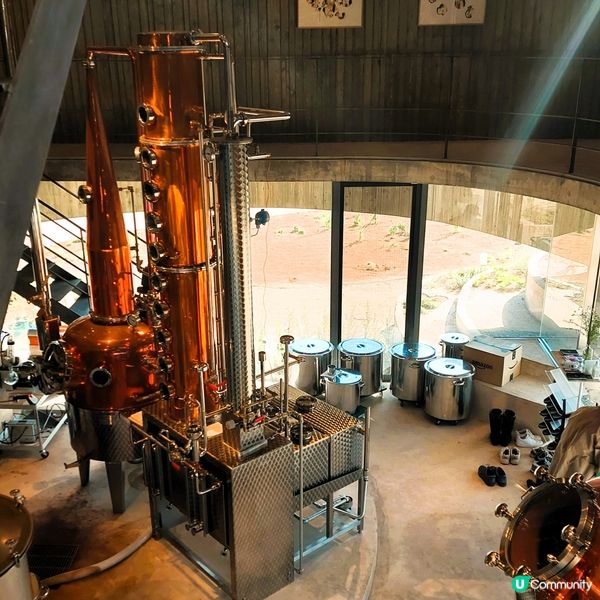 新潟Gin酒 地膽帶路 味道特別 必試