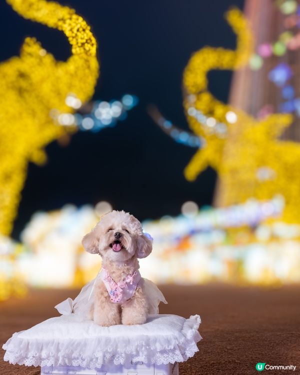 Festilumi 沉浸式光影樂園