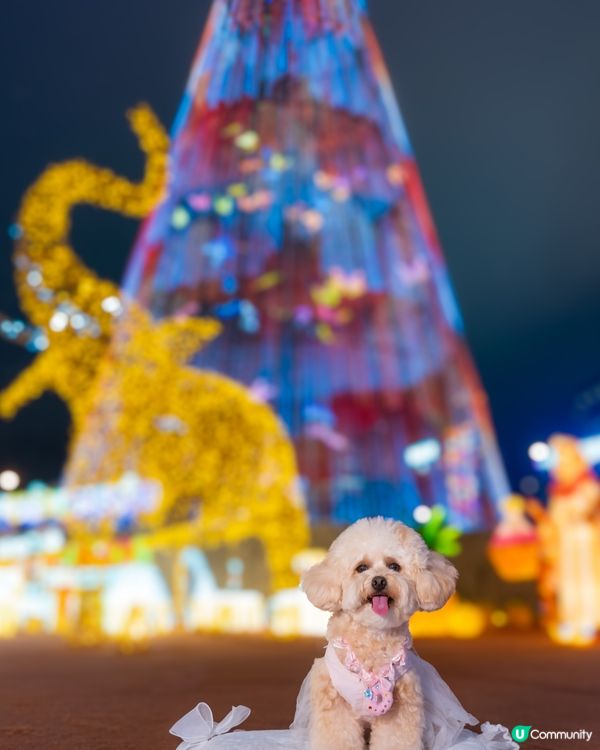 Festilumi 沉浸式光影樂園