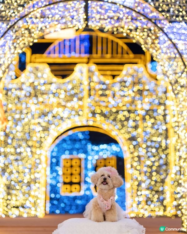 Festilumi 沉浸式光影樂園