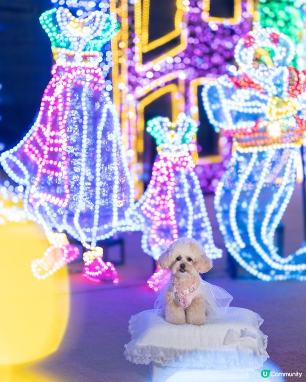 Festilumi 沉浸式光影樂園