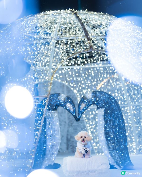 Festilumi 沉浸式光影樂園