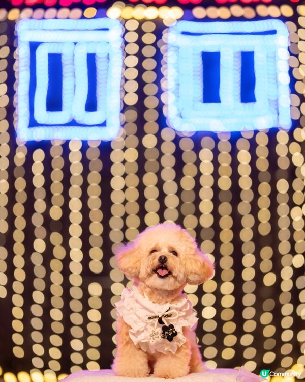 Festilumi 沉浸式光影樂園