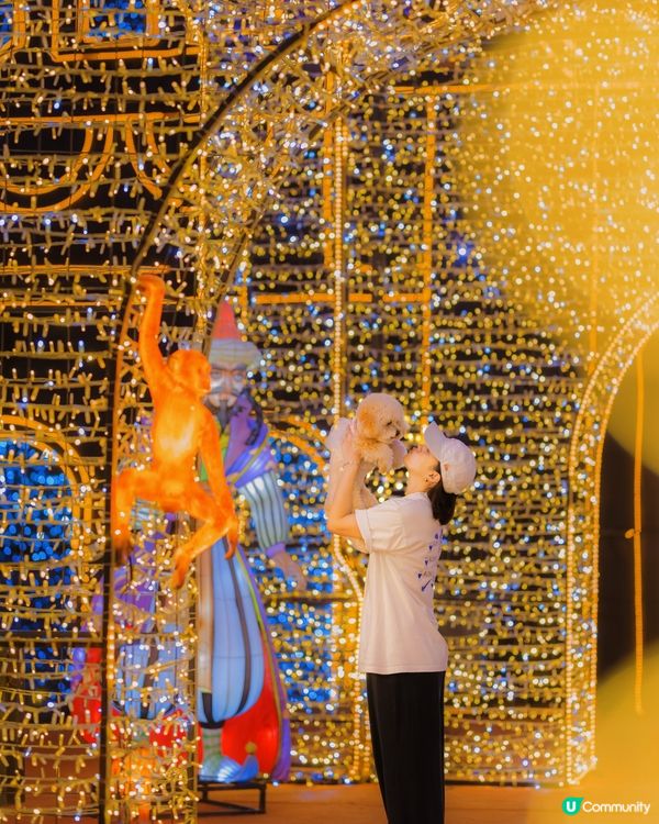 Festilumi 沉浸式光影樂園