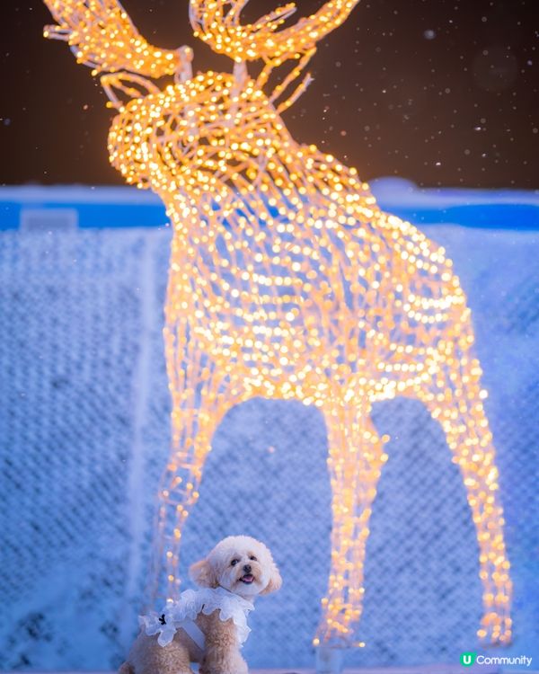 Festilumi 沉浸式光影樂園
