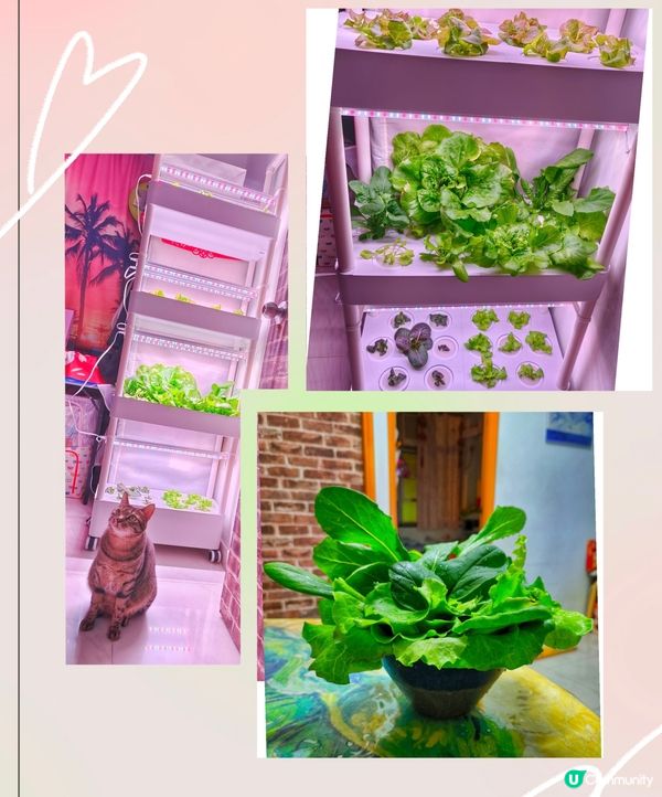 哩個看守員唔錯 無偷食