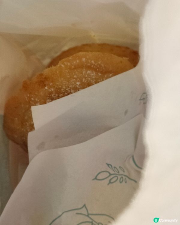 北海道牛乳布甸泡芙，試食報告！🍮