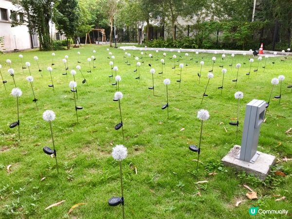 來得COHEE就順便參觀下有三級歷史建築的前粉嶺裁判法院，以...