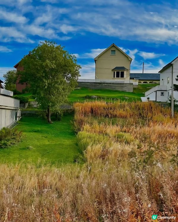 等待晚間睇北極光