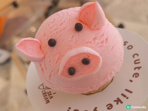 深圳打卡可愛造形雪糕店 雪糕造形超可愛 價格合理 多間分店