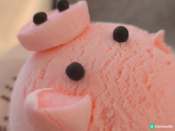 深圳打卡可愛造形雪糕店 雪糕造形超可愛 價格合理 多間分店