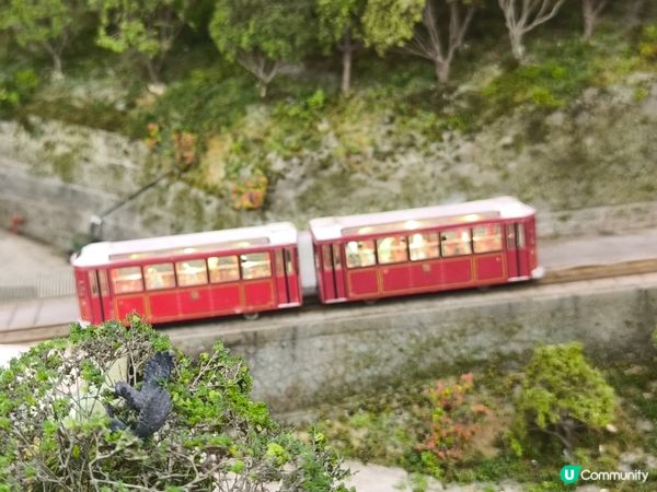 細看中西區微型展@太古廣場