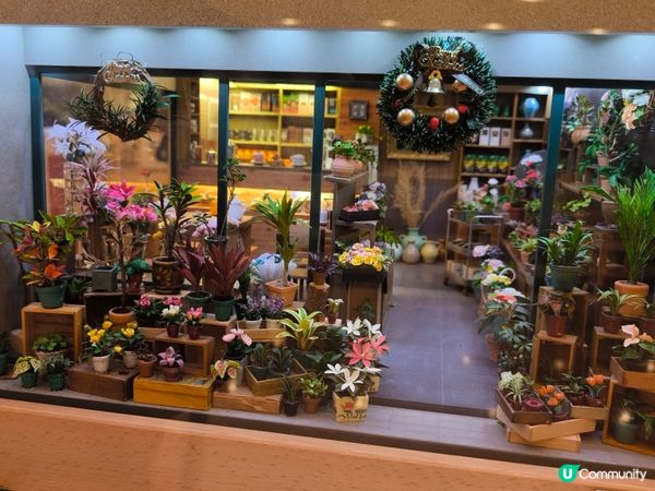 細看中西區微型展@太古廣場