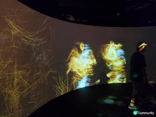 《全新主題 : 可持續未來館 🌏》