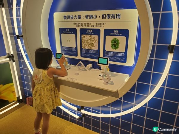 《全新主題 : 可持續未來館 🌏》