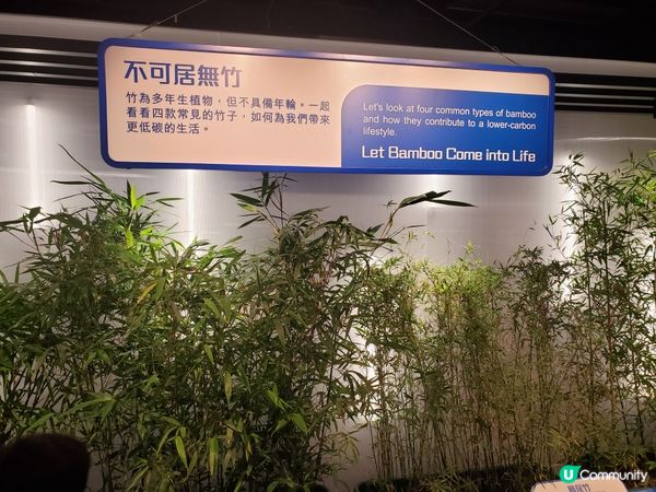 《全新主題 : 可持續未來館 🌏》