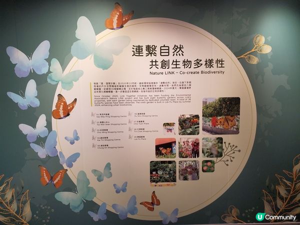 《全新主題 : 可持續未來館 🌏》