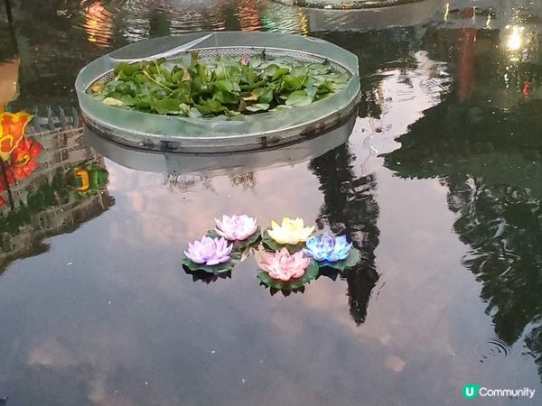 《嗇色園非遺薈萃綵燈節 ~ 夜景篇》