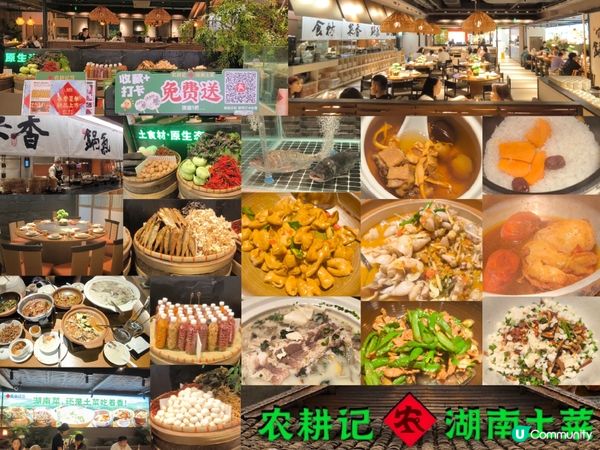 深圳人氣湖南土菜-農耕記 香港一半價錢 鮮活食材