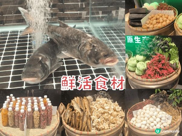 深圳人氣湖南土菜-農耕記 香港一半價錢 鮮活食材