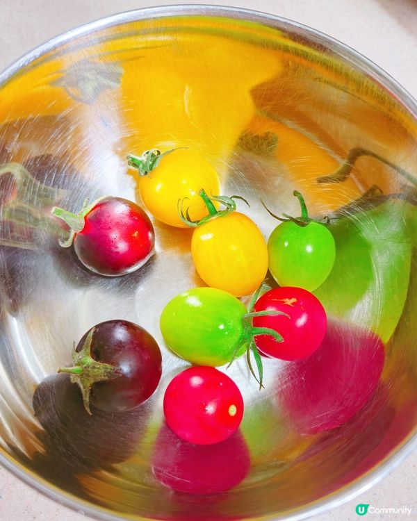 1.  一田驚喜！馬來西亞彩車厘茄🍅！$20.9 😋