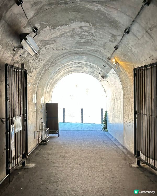 清津峡係日本三大峽谷之一,而清津川流經的清津峽從十日町一直延...