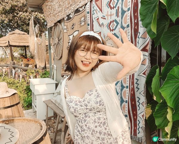 【上水好去處· 墨西哥民族風· 獅藝館茶座 】